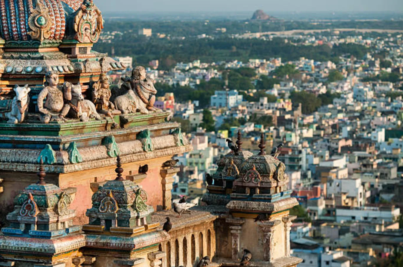 Trichy — header image