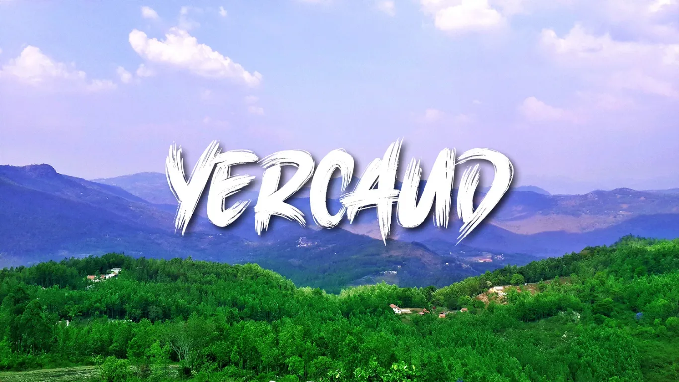 Yercaud — header image