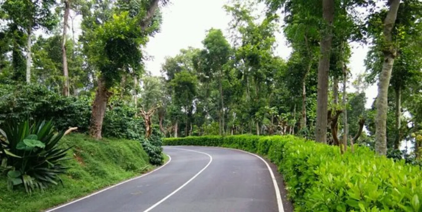 Yercaud street or temple scene