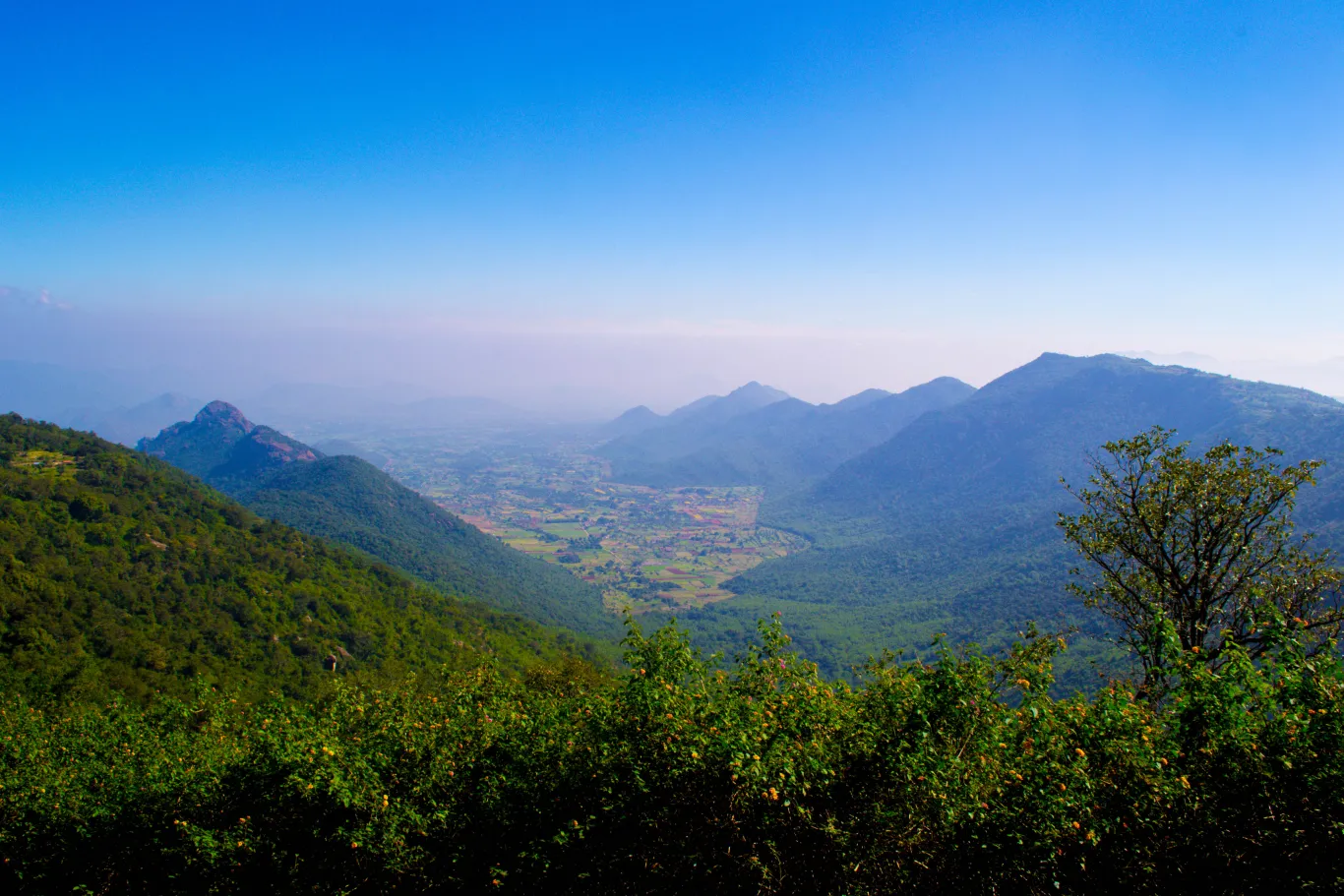 Yercaud thumbnail